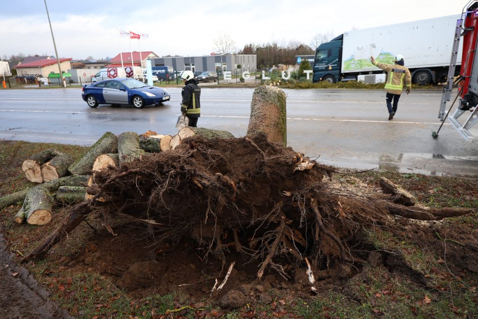 Mieste ir rajone krenta medžiai, gelbėtojams pranešimai plaukia kas minutę