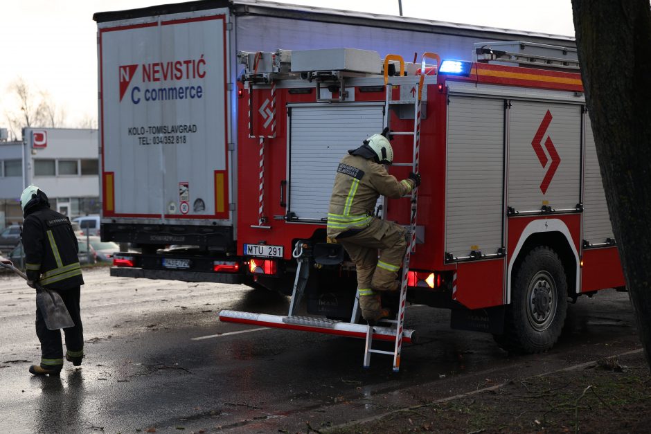 Mieste ir rajone krenta medžiai, gelbėtojams pranešimai plaukia kas minutę