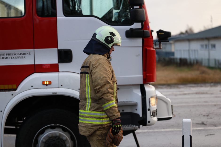 Mieste ir rajone krenta medžiai, gelbėtojams pranešimai plaukia kas minutę