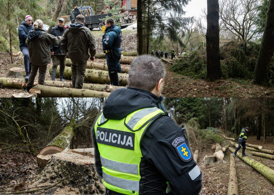 Gyventojai stoja prieš nelegalų medžių kirtimą rekreaciniame miške: pjauna viską 