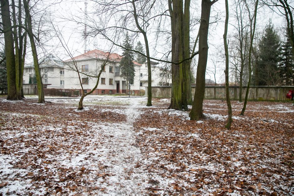 Miestas perims Vytauto parką?