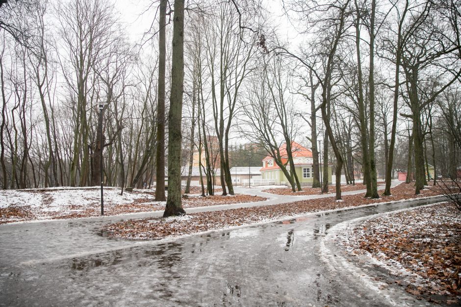 Miestas perims Vytauto parką?