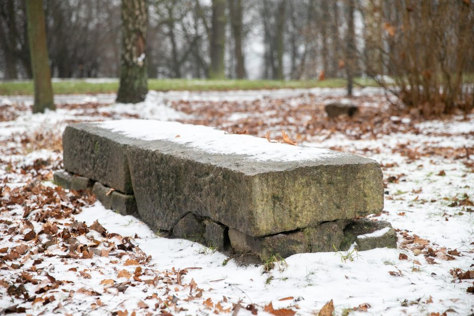 Miestas perims Vytauto parką?