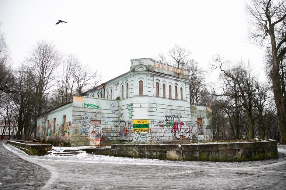 Miestas perims Vytauto parką?