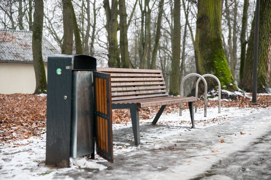 Miestas perims Vytauto parką?