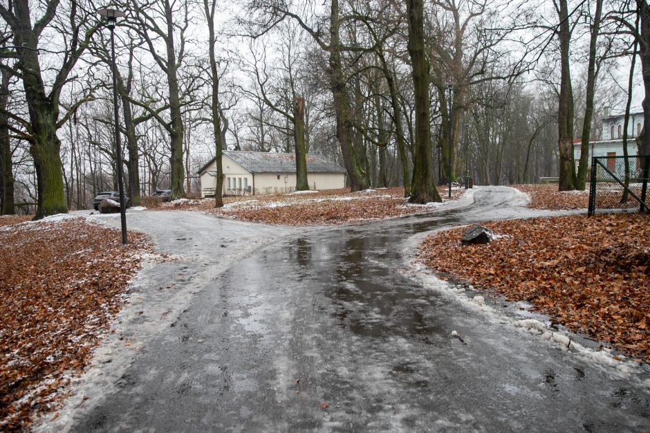 Miestas perims Vytauto parką?