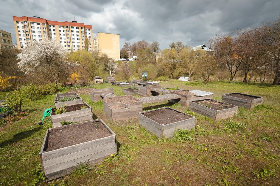 „Šilainių sodai“ laukia naujakurių!