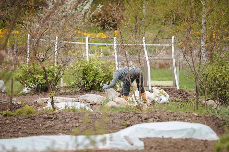 „Šilainių sodai“ laukia naujakurių!