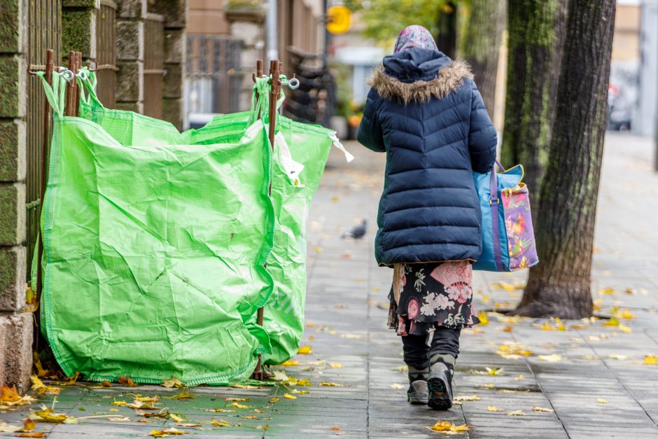 Benamiai sugrįžo į Laisvės alėją: kaip jiems padėti?