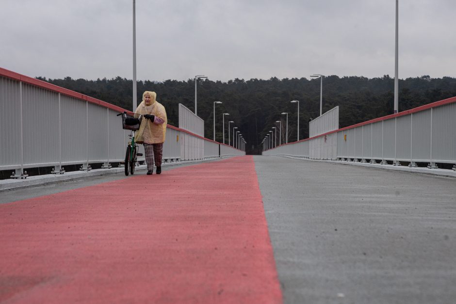 Vėl pirštu beda į Trijų mergelių tilto defektus: jei taip toliau, viskas bus sulopyta