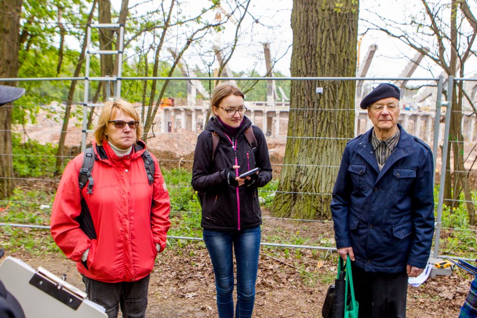 Specialistai: tokie ąžuolai savaime yra vertybė