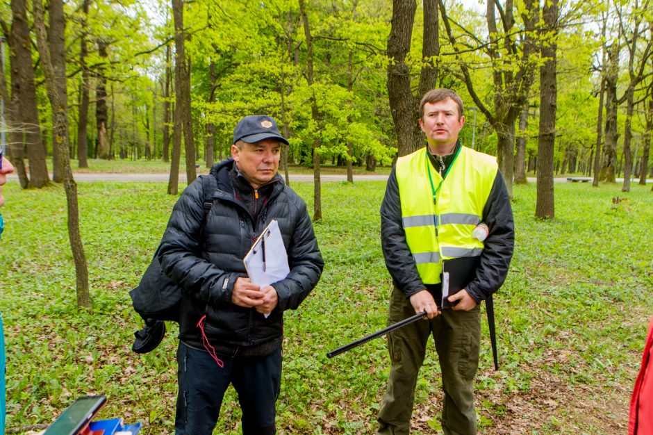 Specialistai: tokie ąžuolai savaime yra vertybė