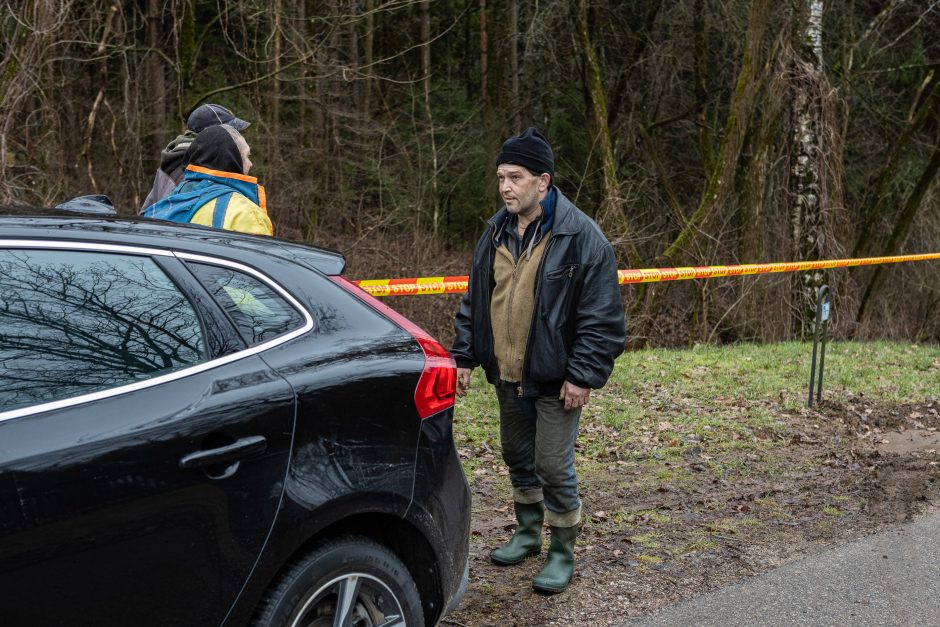 Įžūlumui ribų nėra: pasinaudoję šventėmis į Radikius grįžo nelegalūs medžių kirtėjai? 