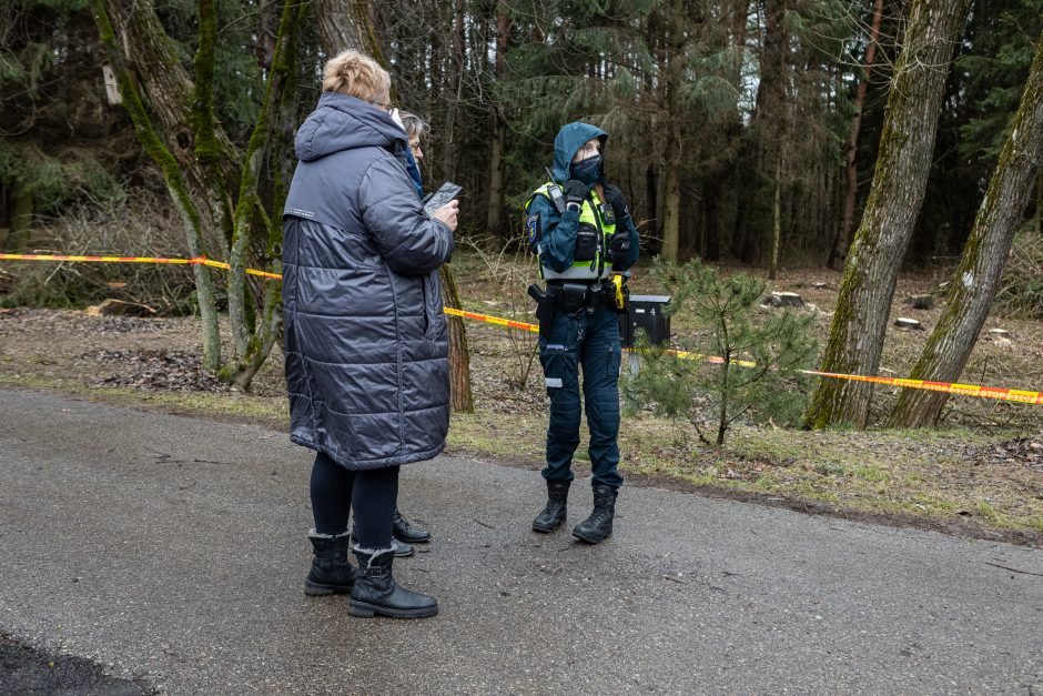 Įžūlumui ribų nėra: pasinaudoję šventėmis į Radikius grįžo nelegalūs medžių kirtėjai? 