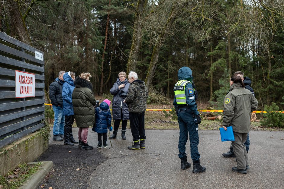 Įžūlumui ribų nėra: pasinaudoję šventėmis į Radikius grįžo nelegalūs medžių kirtėjai? 