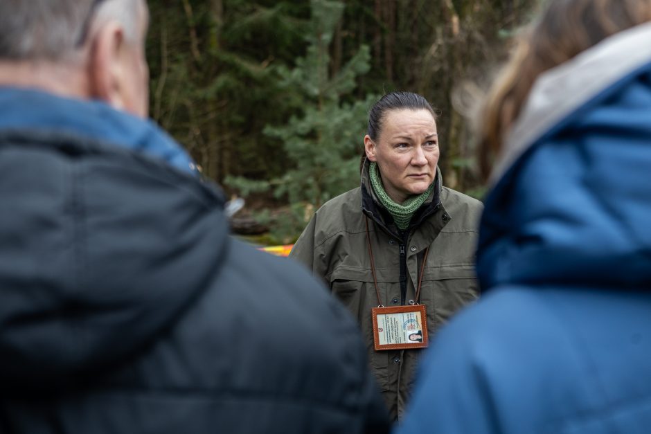 Įžūlumui ribų nėra: pasinaudoję šventėmis į Radikius grįžo nelegalūs medžių kirtėjai? 