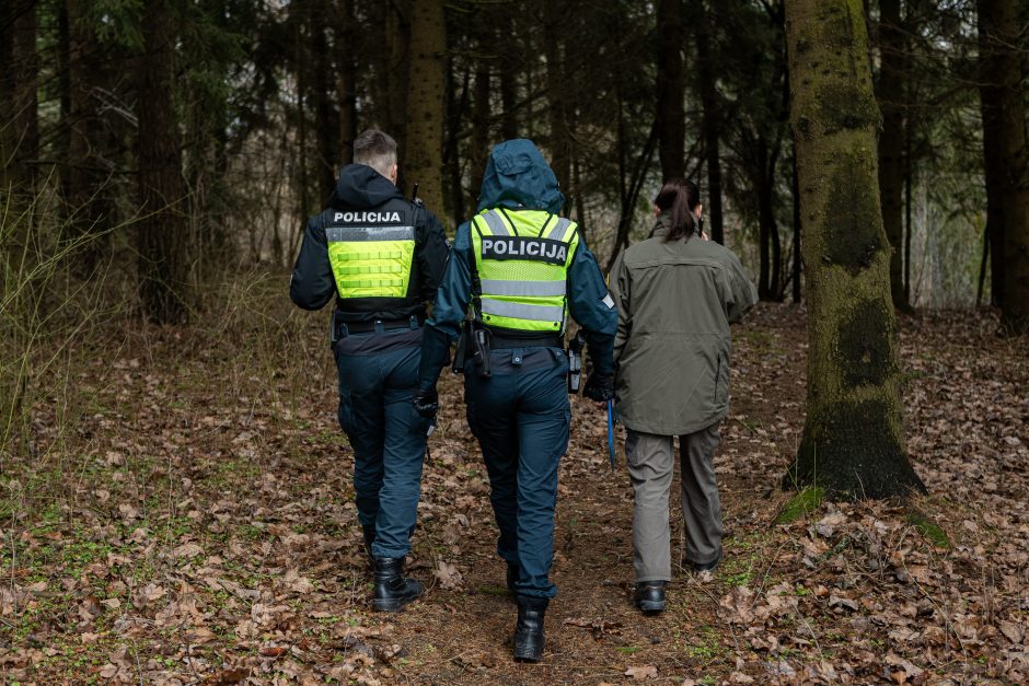 Įžūlumui ribų nėra: pasinaudoję šventėmis į Radikius grįžo nelegalūs medžių kirtėjai? 