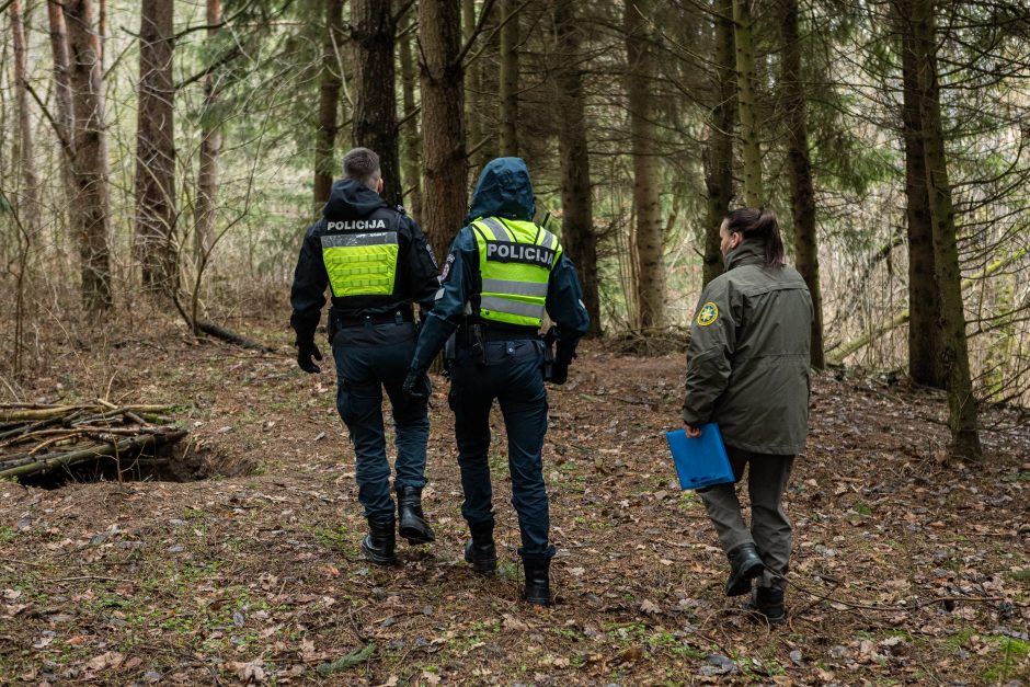 Įžūlumui ribų nėra: pasinaudoję šventėmis į Radikius grįžo nelegalūs medžių kirtėjai? 