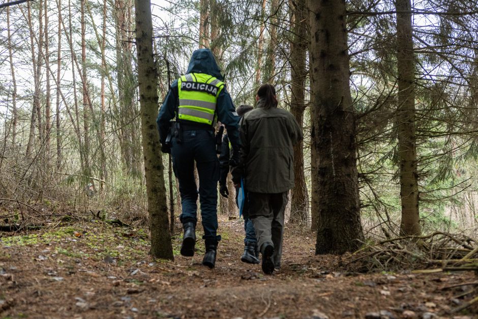 Įžūlumui ribų nėra: pasinaudoję šventėmis į Radikius grįžo nelegalūs medžių kirtėjai? 