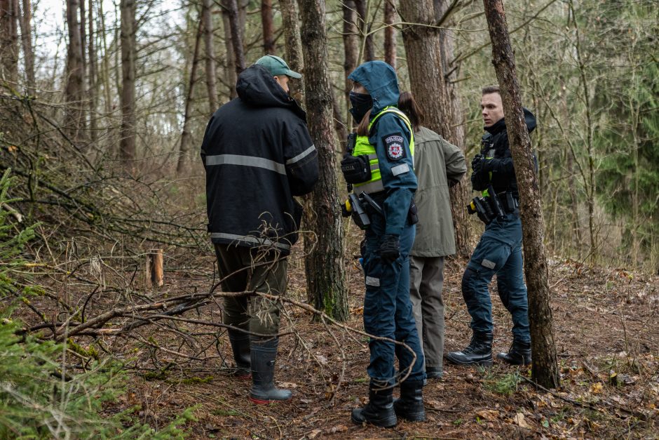 Įžūlumui ribų nėra: pasinaudoję šventėmis į Radikius grįžo nelegalūs medžių kirtėjai? 