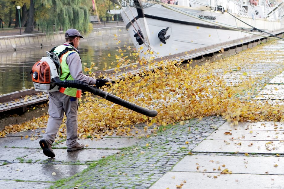 Lapų valytojai erzina gyventojus