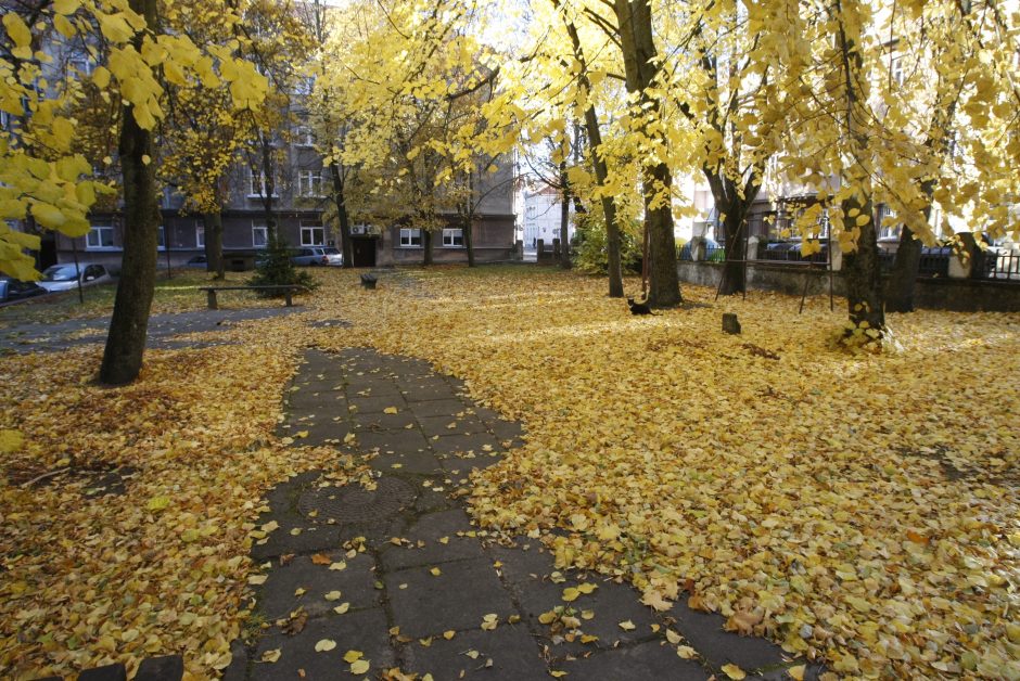 Klaipėdos gyventojai perima kiemus