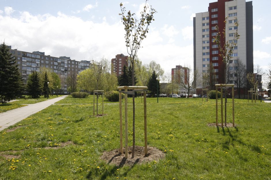 Klaipėdiečiai pasiilgo įvairiaspalvių žiedų