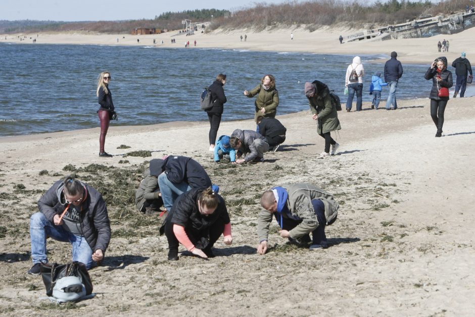 Klaipėdiečių delnuose – tik smulkus laimikis