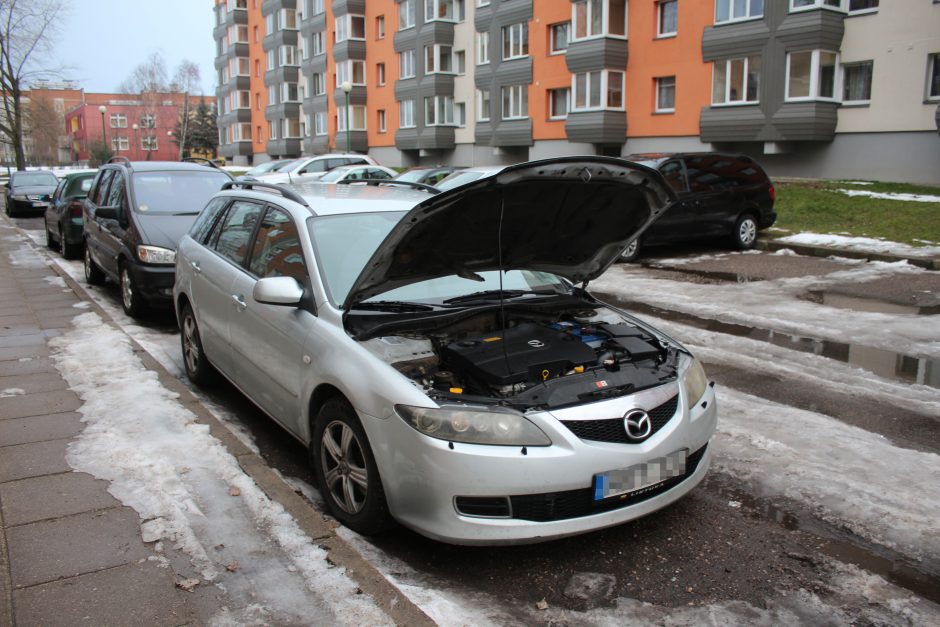 Nusivylęs vairuotojas: autoserviso meistrai siūlė spėjimo būdu rinktis, ką remontuoti