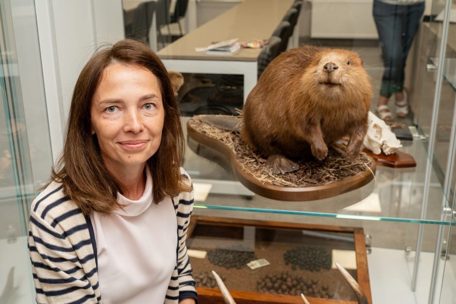 Gyvūnai mieste: Kaune galima išvysti ne tik erelį