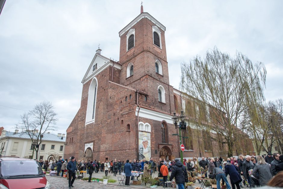 Katalikai švenčia Verbų sekmadienį 