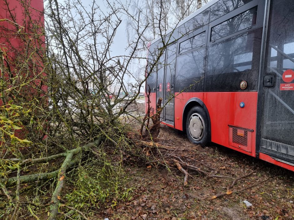 Tragedija pakaunėje: nuo kelio nulėkusiame maršrutiniame autobuse rastas negyvas jo vairuotojas