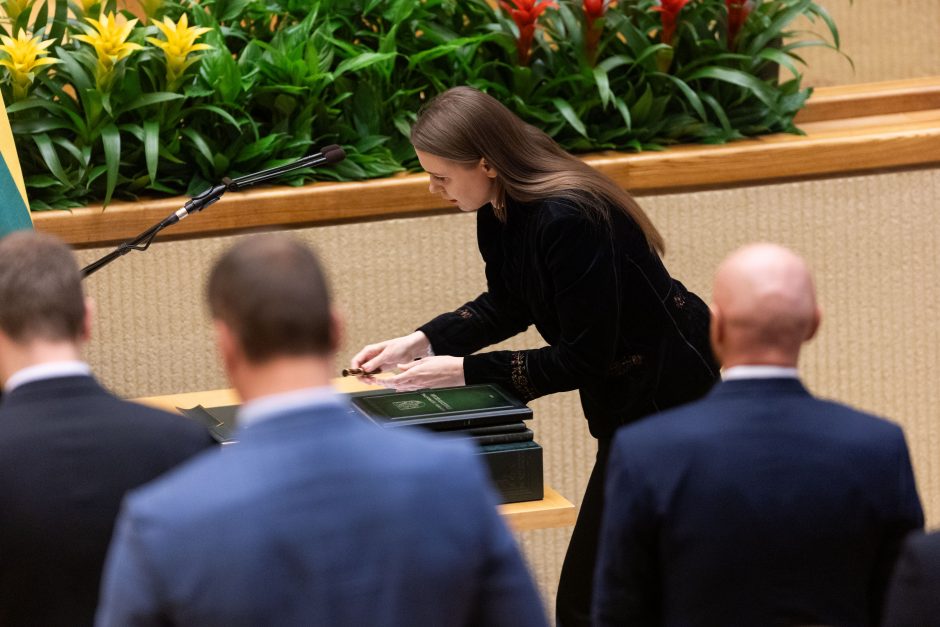 V. Čmilytė-Nielsen sako, kad opozicija kalbėsis dėl lyderio išrinkimo