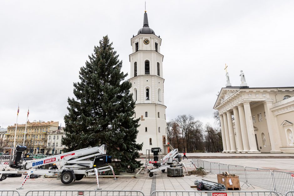 Katedros aikštėje jau stovi Kalėdų eglė