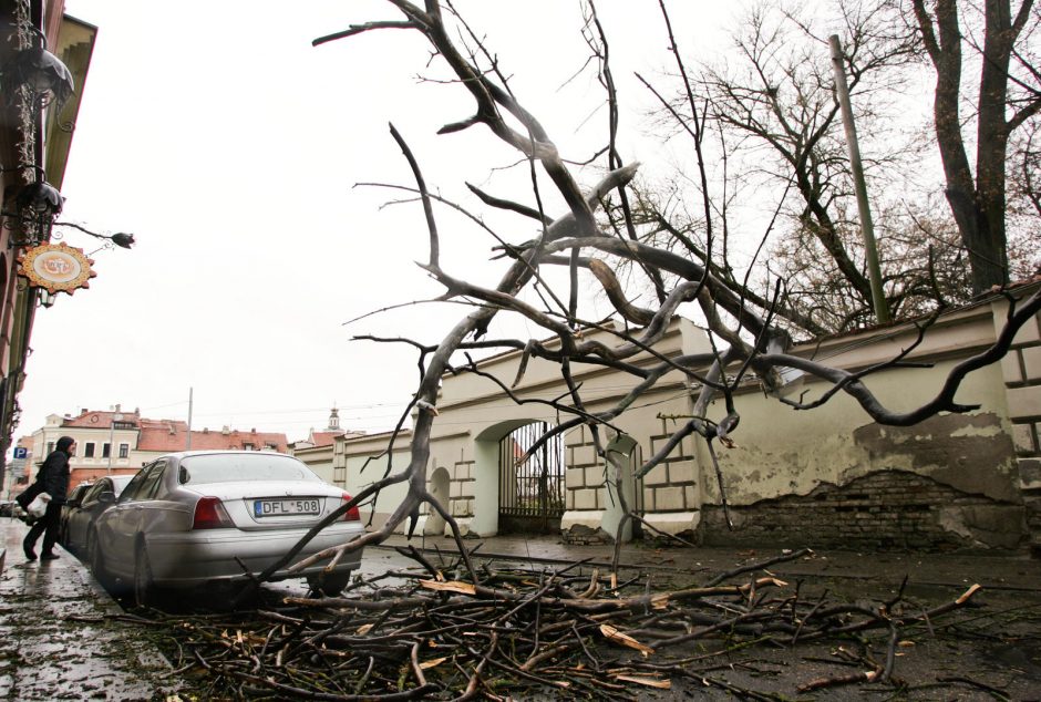 Vėjas laužė šakas, Telšiuose užmetė iškabą ant turizmo centro stogo