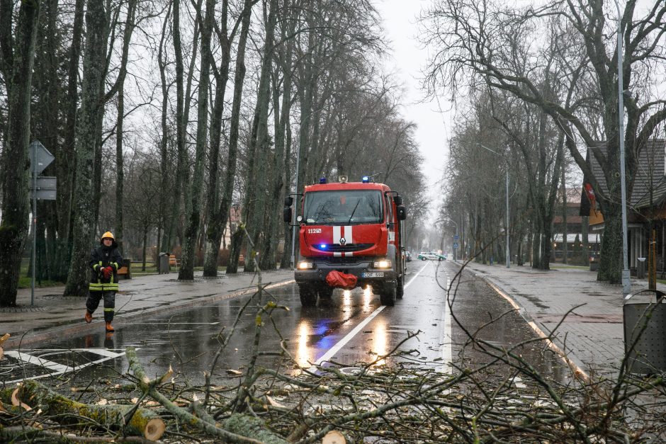 Ugniagesiai 85 kartus vyko šalinti stipraus vėjo nuverstų medžių