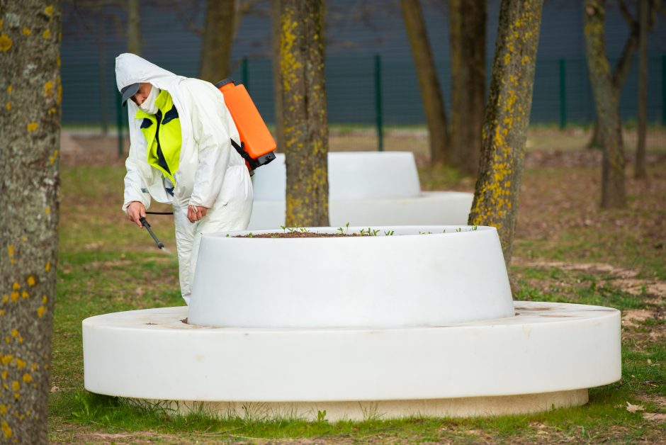 Kaunas siekia pažaboti koronaviruso plitimą: dezinfekuojamos rinkiminės apylinkės