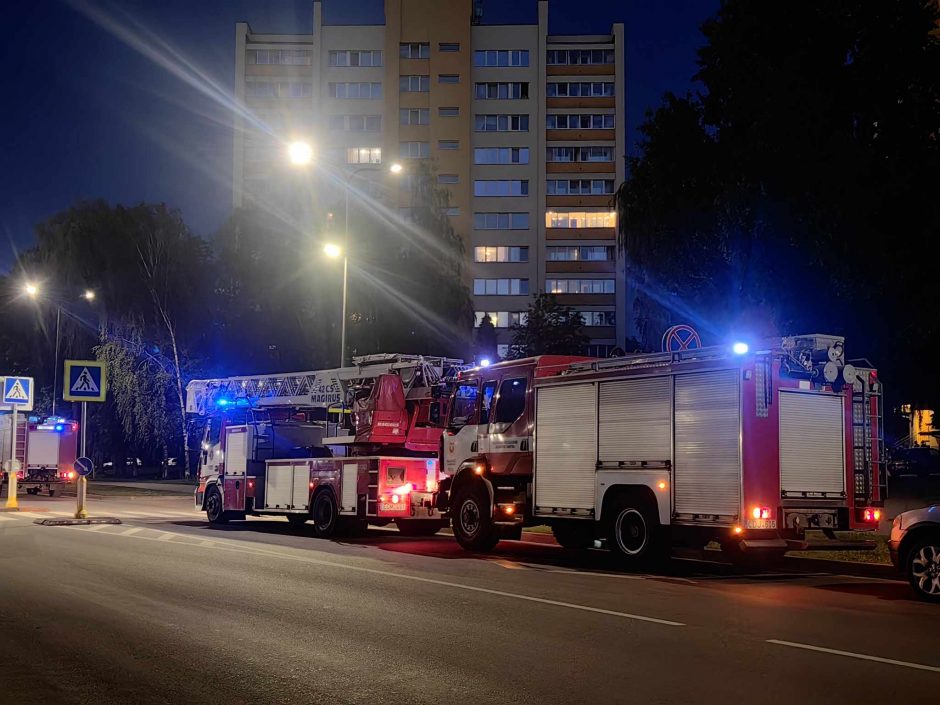 Ugniagesiai skubėjo į Partizanų gatvę šalinti pavojingai nulinkusios medžio šakos