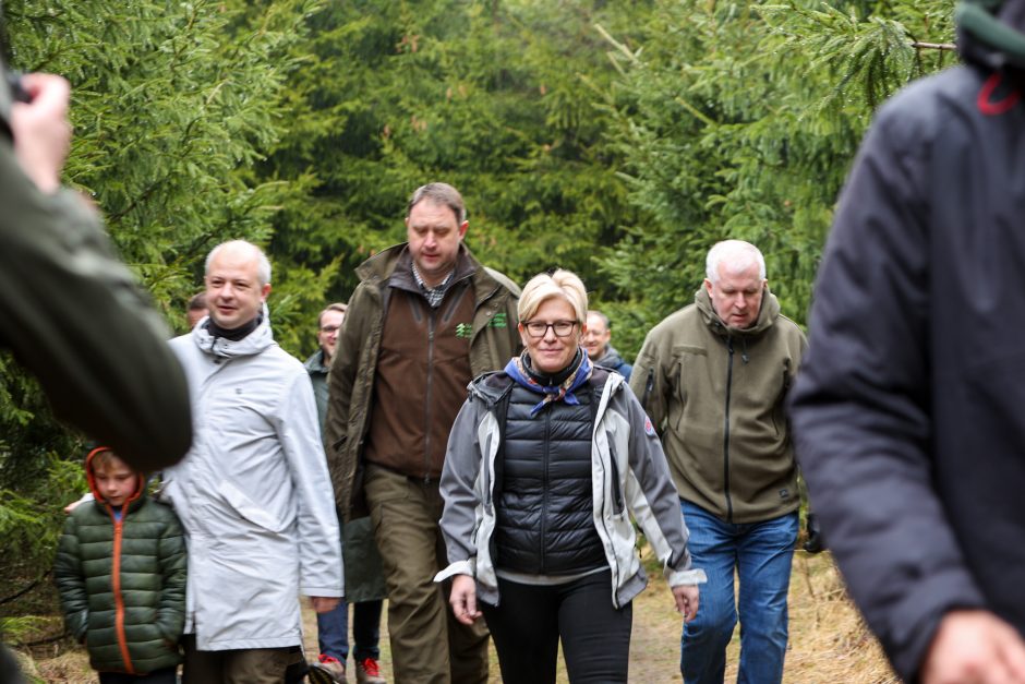 Nacionalinis miškasodis sutelkė gamtos mylėtojus: Lietuvos miškuose pasodinta 2 mln. naujų medžių