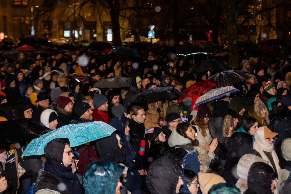 Prie Seimo protestuotojai gėdina socialdemokratus dėl koalicijos su „Nemuno aušra“