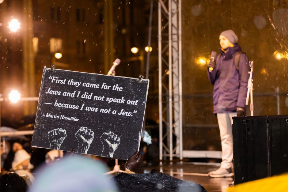 Prie Seimo protestuotojai gėdina socialdemokratus dėl koalicijos su „Nemuno aušra“