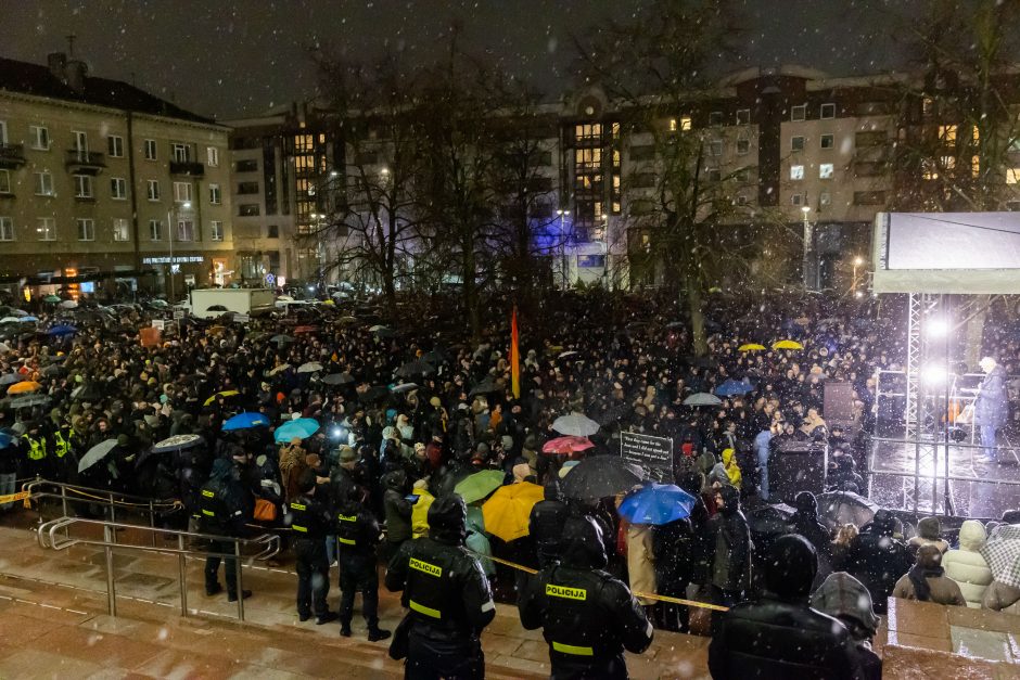 Prie Seimo protestuotojai gėdina socialdemokratus dėl koalicijos su „Nemuno aušra“