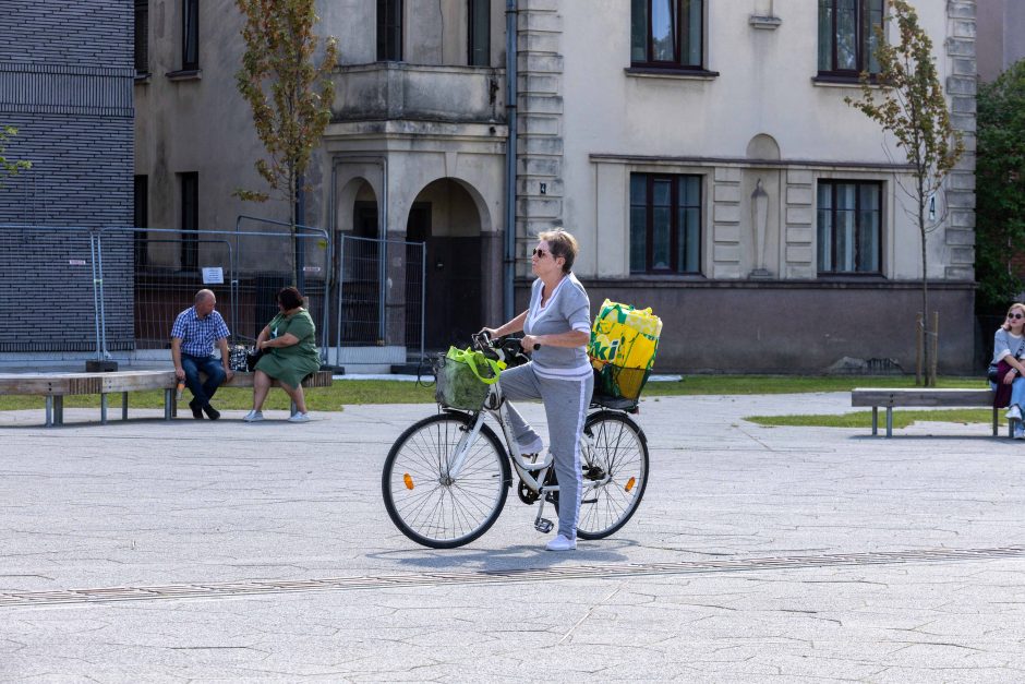 E. Sheerano gerbėjai jau laukia koncerto