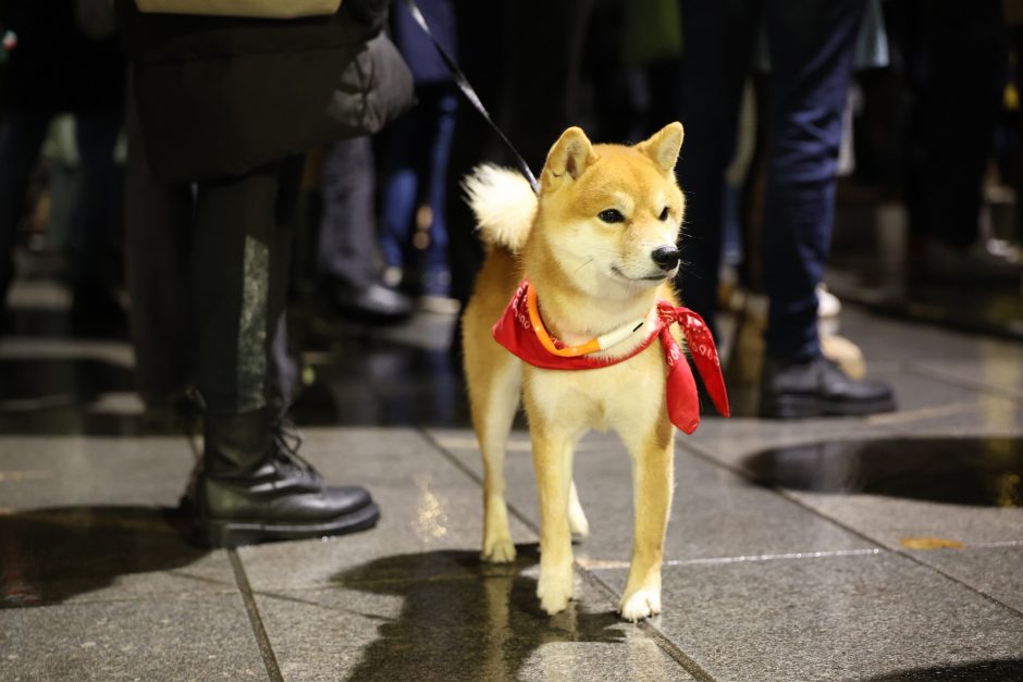 Protestuotojai Kaune: sunku suvokti, kas vyksta