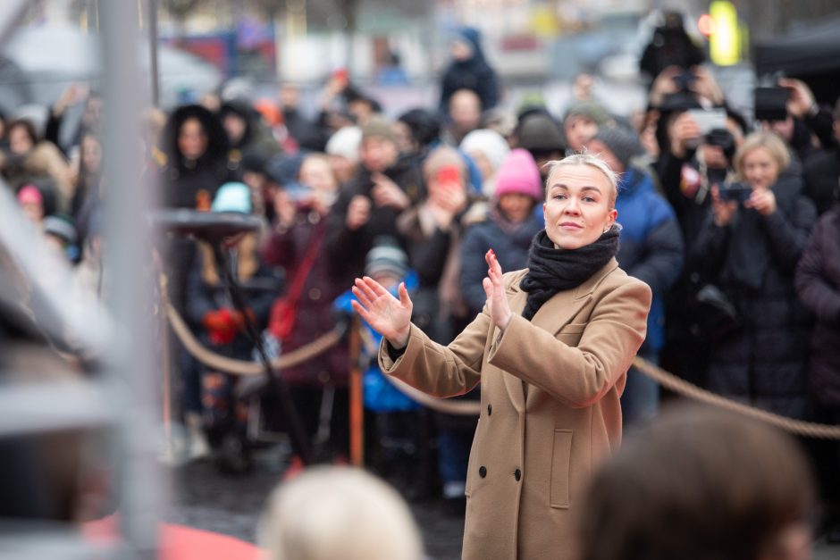 Vilniuje vyko tradicinė vėliavų pakėlimo ceremonija