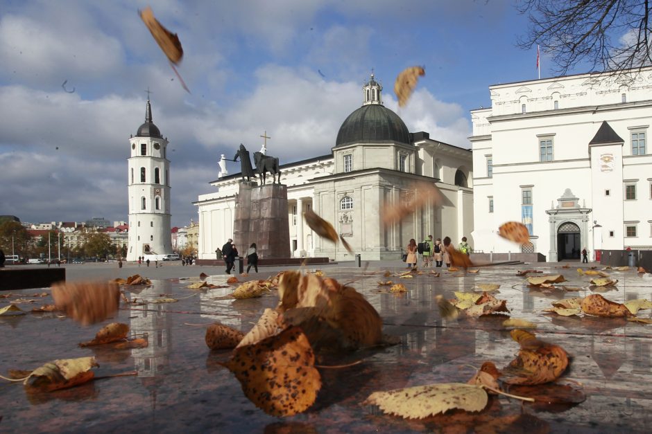 S. Paltanavičius: storas lapų kilimas žiemą apsaugo medžių šaknis 