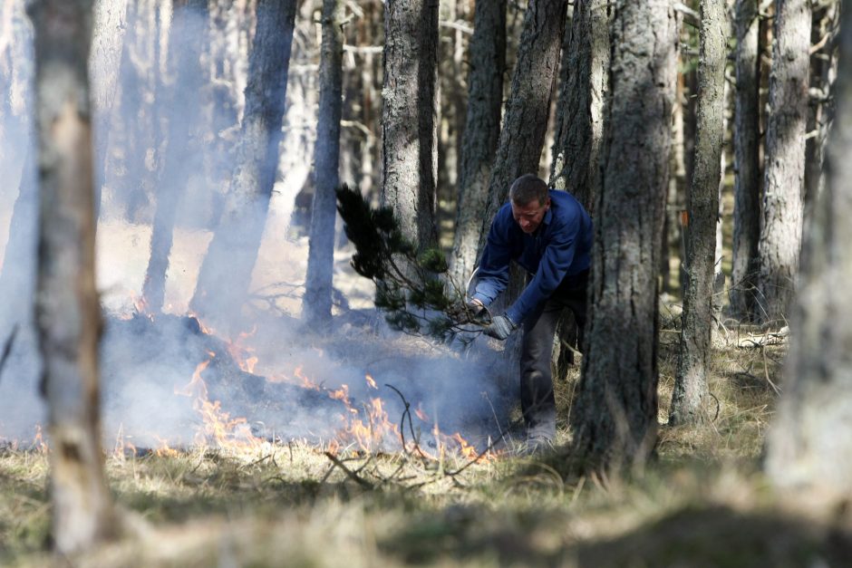 Gaisras Kuršių nerijoje