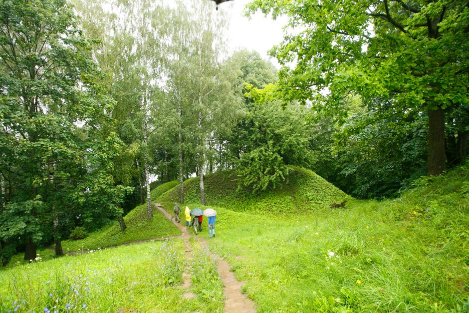 Kauno marių parke verta nepamiršti atsargumo