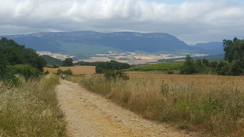 900 km pėsčiomis ėjusi klaipėdietė: kartosiu