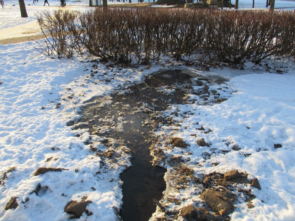 P. Lukšio gatvės daugiabučio gyventojai negali prisišaukti komunalininkų pagalbos